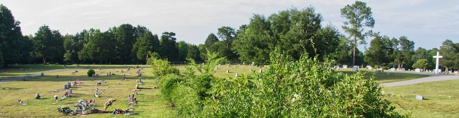 Plans were announced this week to remove the fence that has long separated the Black cemetery in Mineola from the predominately white Cedar Memorial Gardens. Here is a view looking down the fence with the Black cemetery on the left.